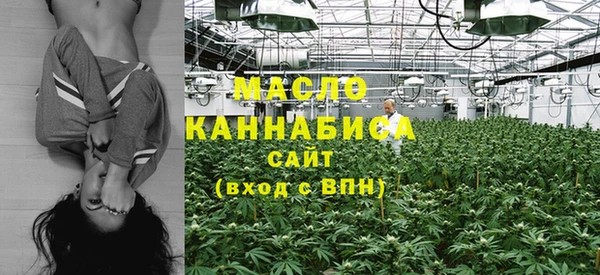mdpv Краснослободск